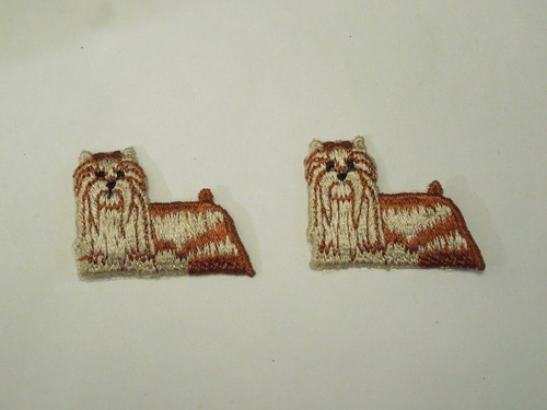 Lot yorkshire terrier - of,