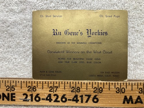 Vintage 1960s oversized card - 1960s,
